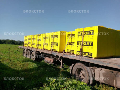 Пеноблоки Istkult D300 625х250х500 стеновые
